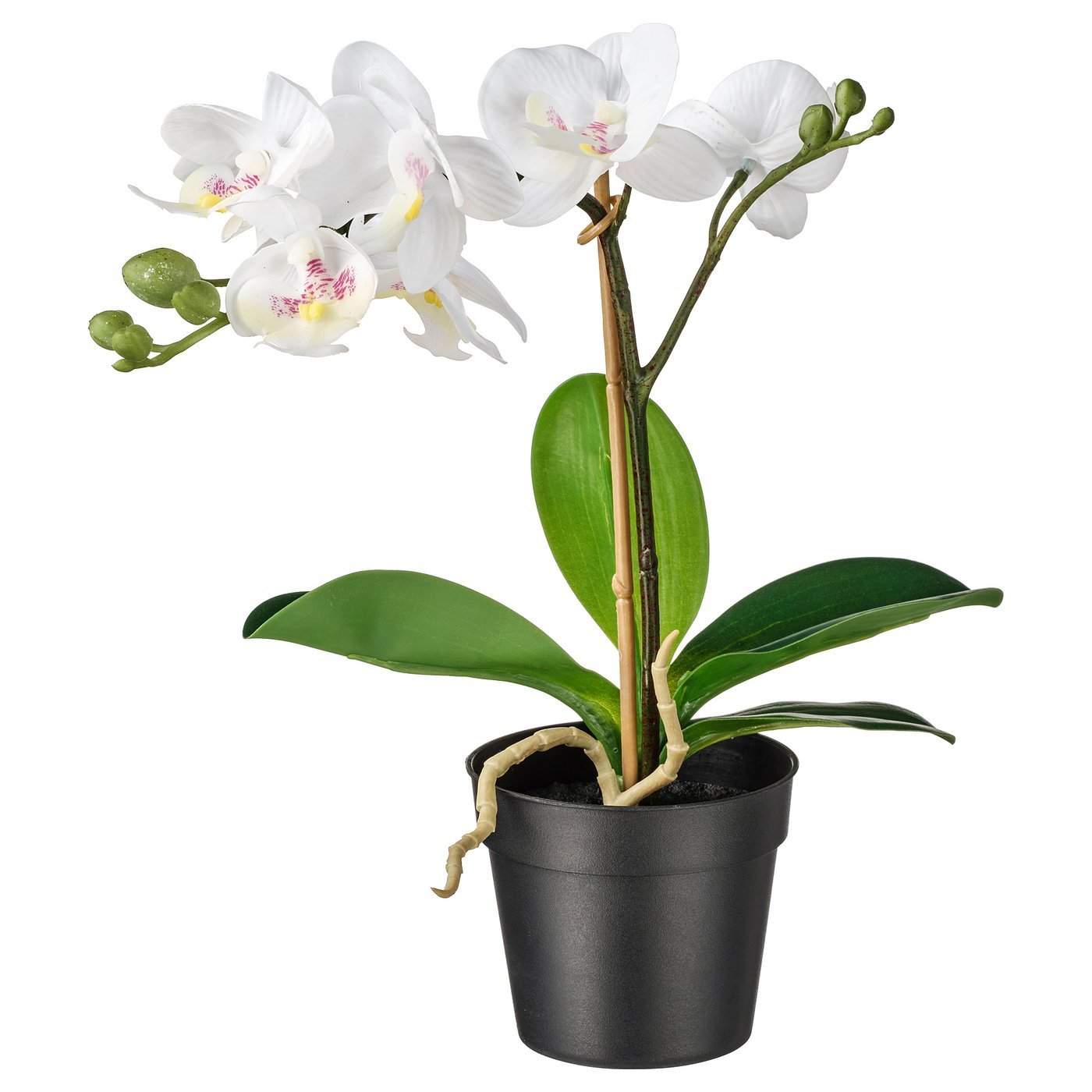 Artificial potted plant, Orchid white, 9 cm